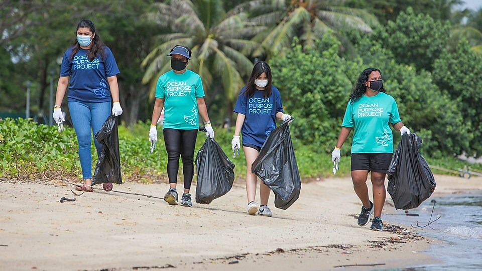 Ocean Purpose Project beach clean ups