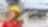 Asia leader banner