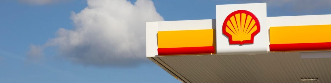 Shell pecten on retail site