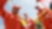 A group of Shell employees celebrating