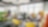 Powering Graduate Program