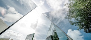 Discover new perspectives