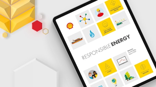 Online Sustainability Report 2018