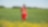 An employee stands in a field near a Quest C02 injection well northeast of Edmonton, Alberta in Canada