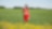 An employee stands in a field near a Quest C02 injection well northeast of Edmonton, Alberta in Canada