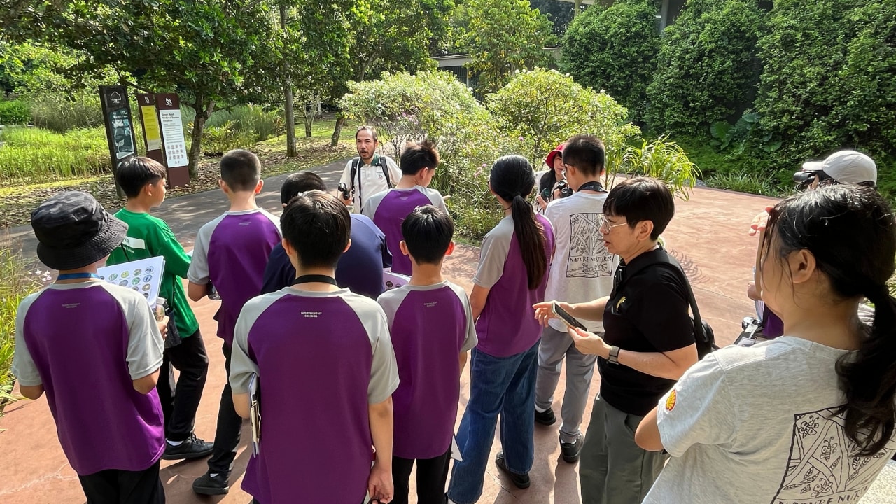Guided by NParks facilitators and supported by Shell volunteers, students were introduced to nature journaling and used binoculars to explore the environment around them