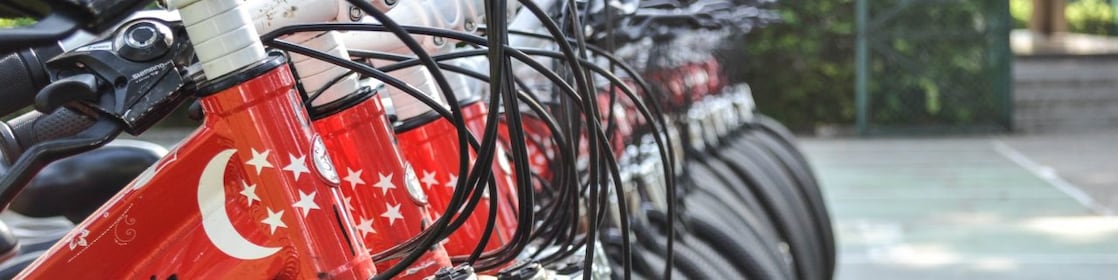 A row of bicycles used at the Shell Jurong Island Cycling event.