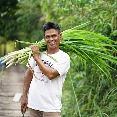 Truck on jungle mountainside