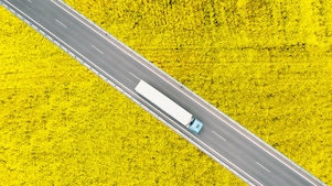 Aerial view of a truck driving along a road through bright yellow fields.