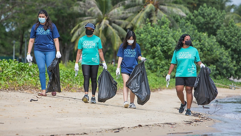 Ocean Purpose Project beach clean ups