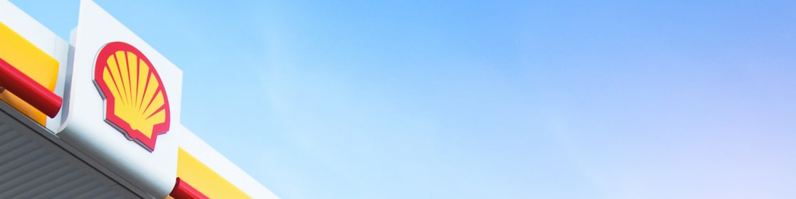 Shell Pecten on the background of the blue sky