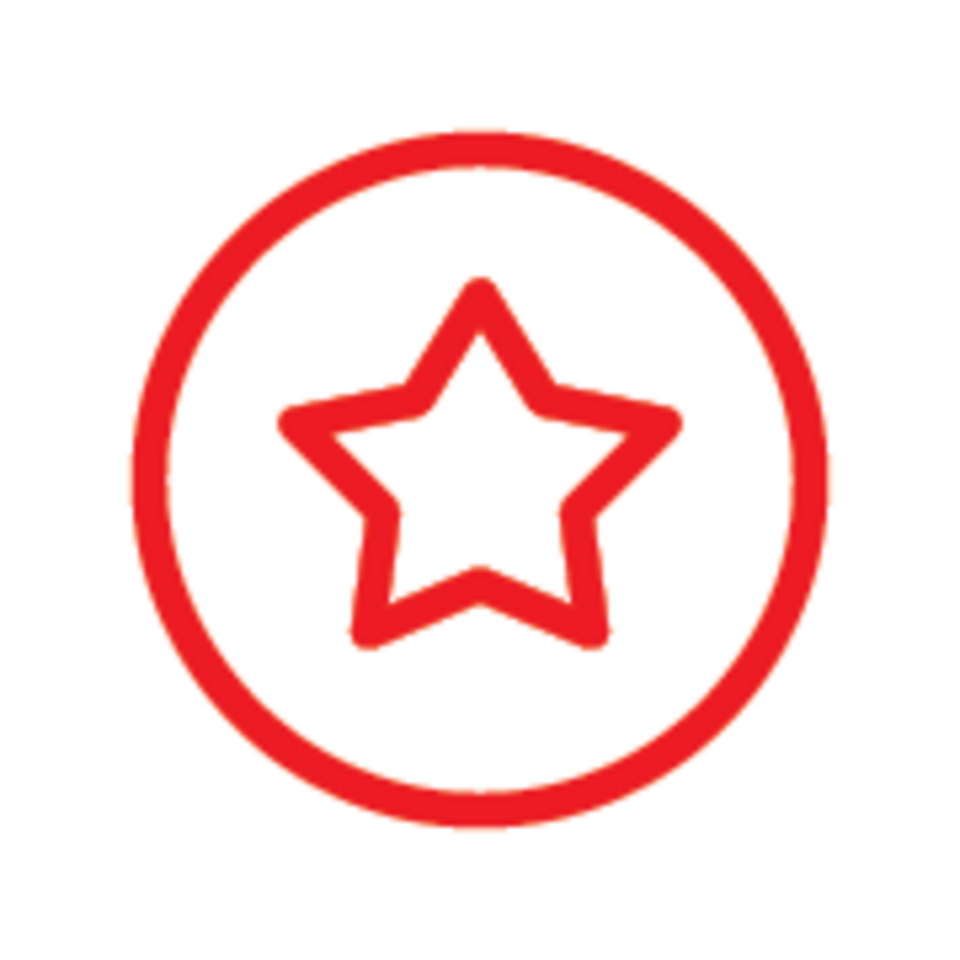 red color star icon